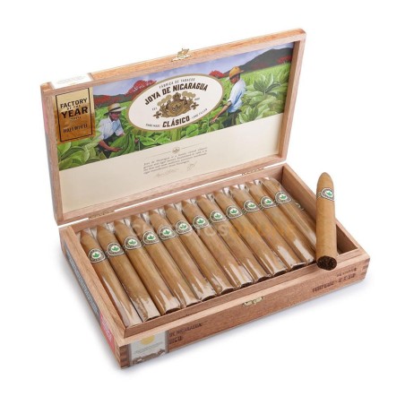 JDN Clasico Torpedo 10