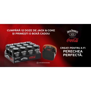 JACK DANIEL'S & COCA-COLA READY TO DRINK 12 X 0.33L + BOXA